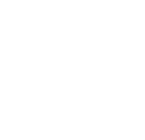 noun-flower-6432418