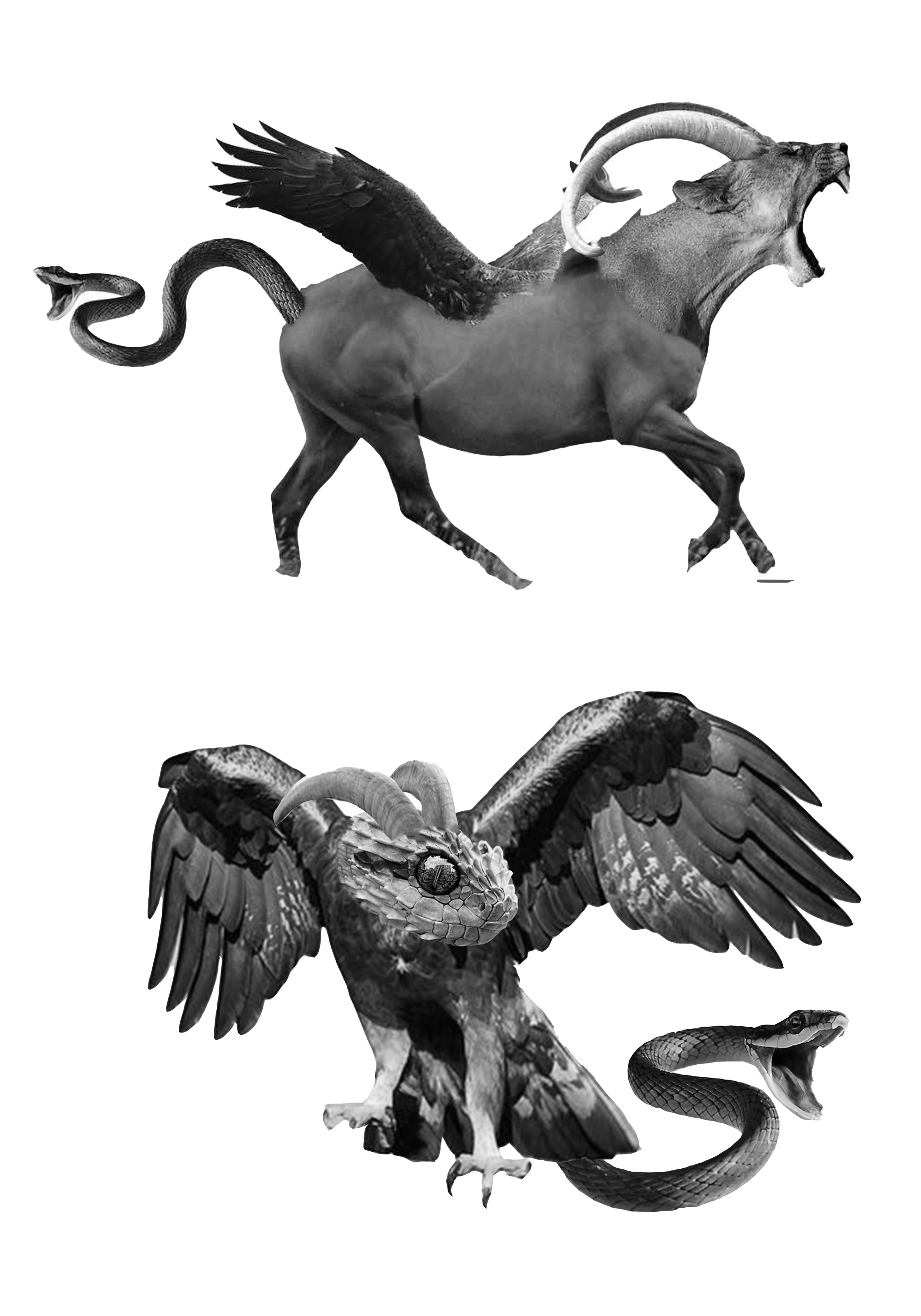 png 1